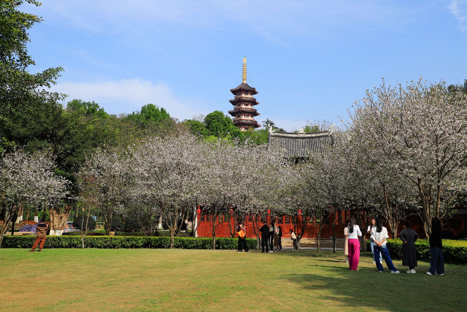 IMG_4278_副本.jpg