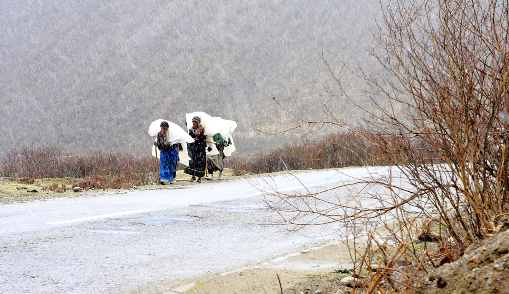 _MG_9833.JPG