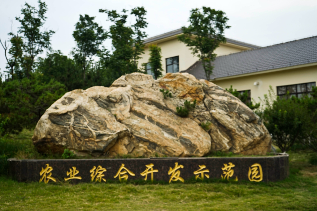 DSC07045.JPG