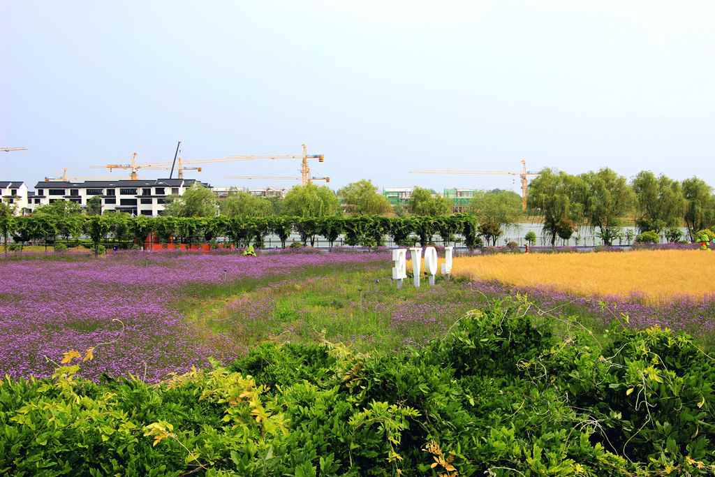 IMG_9203_副本.jpg