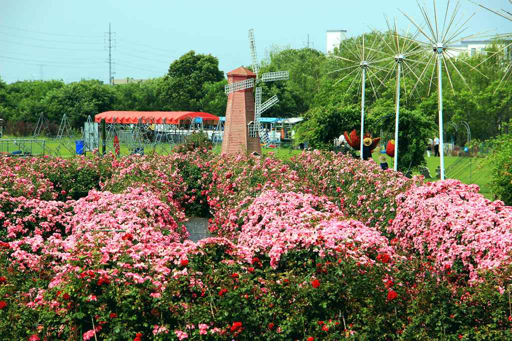 IMG_9206_副本.jpg