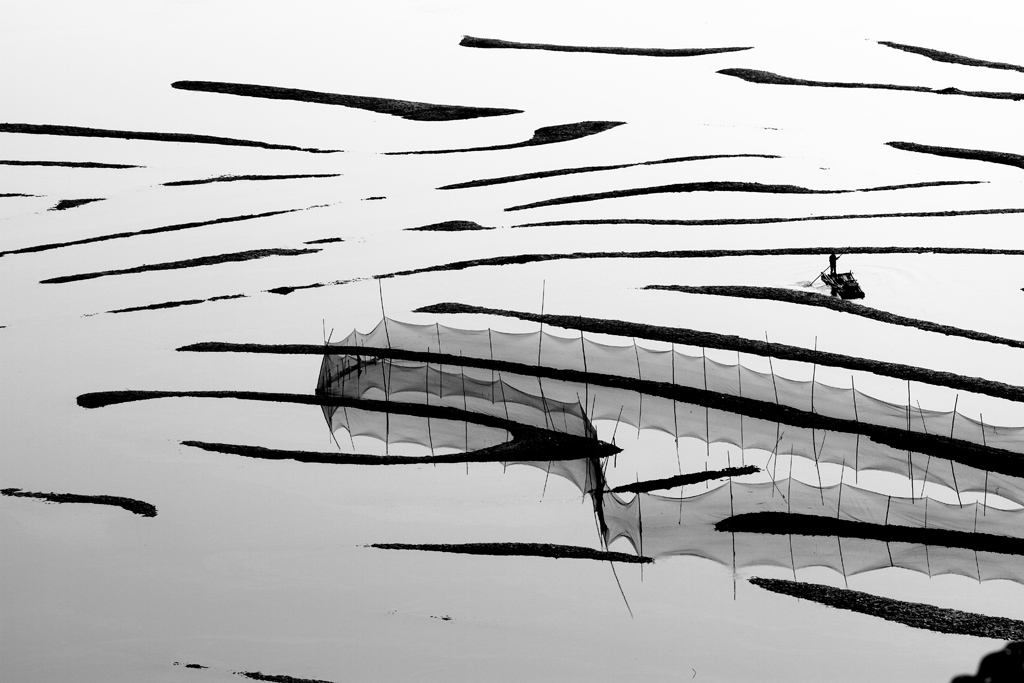 _MG_5397.JPG