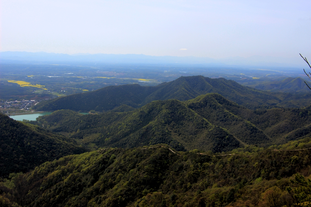 IMG_8750_副本.jpg