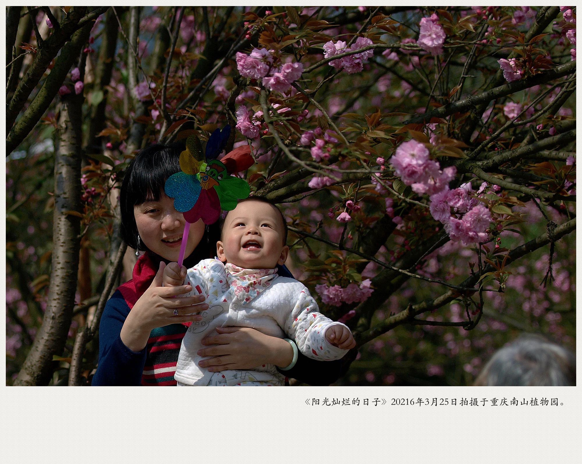 P3251696_《阳光灿烂》2016年3月25日南山植物园莫天正渝北区人和街道金山大道1号52幢3单元11－113983138202_副本.jpg
