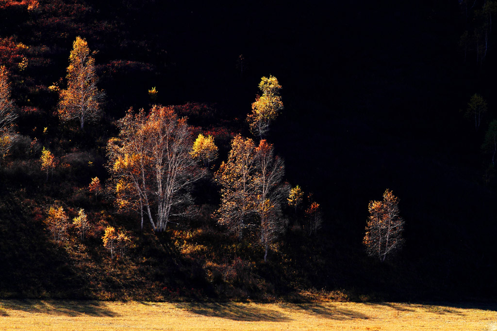 _MG_4097.JPG
