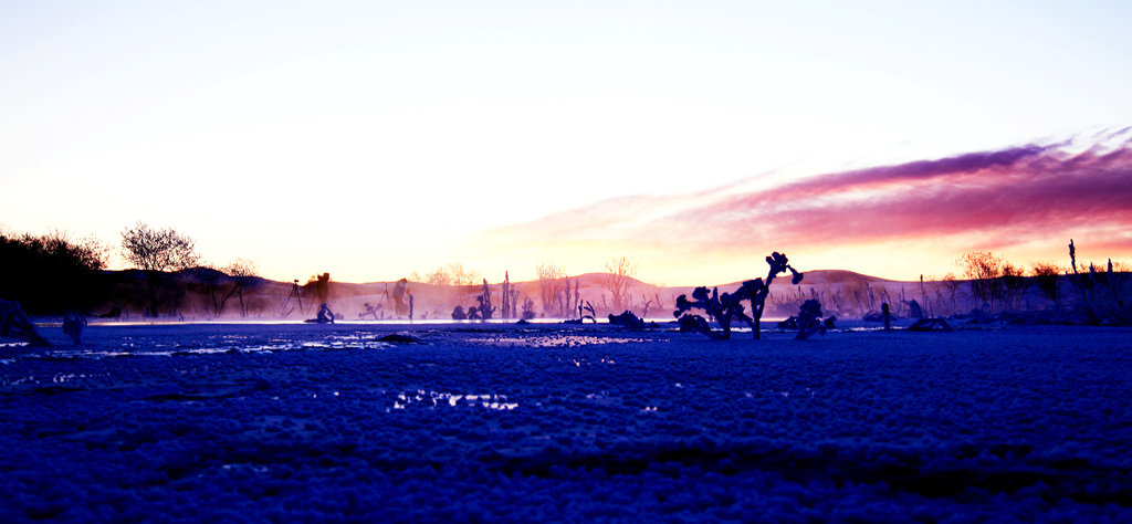 _MG_6355.JPG