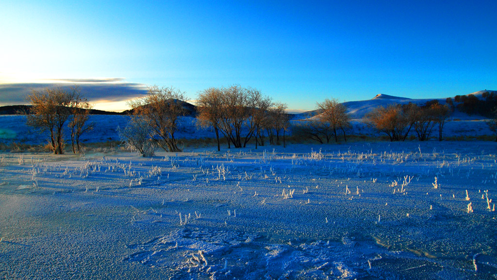 _MG_6387.JPG