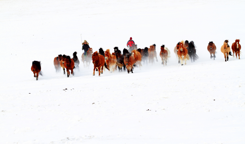 _MG_80282.JPG