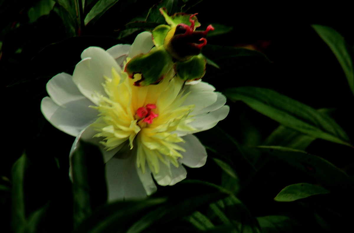 FU2A0290.JPG