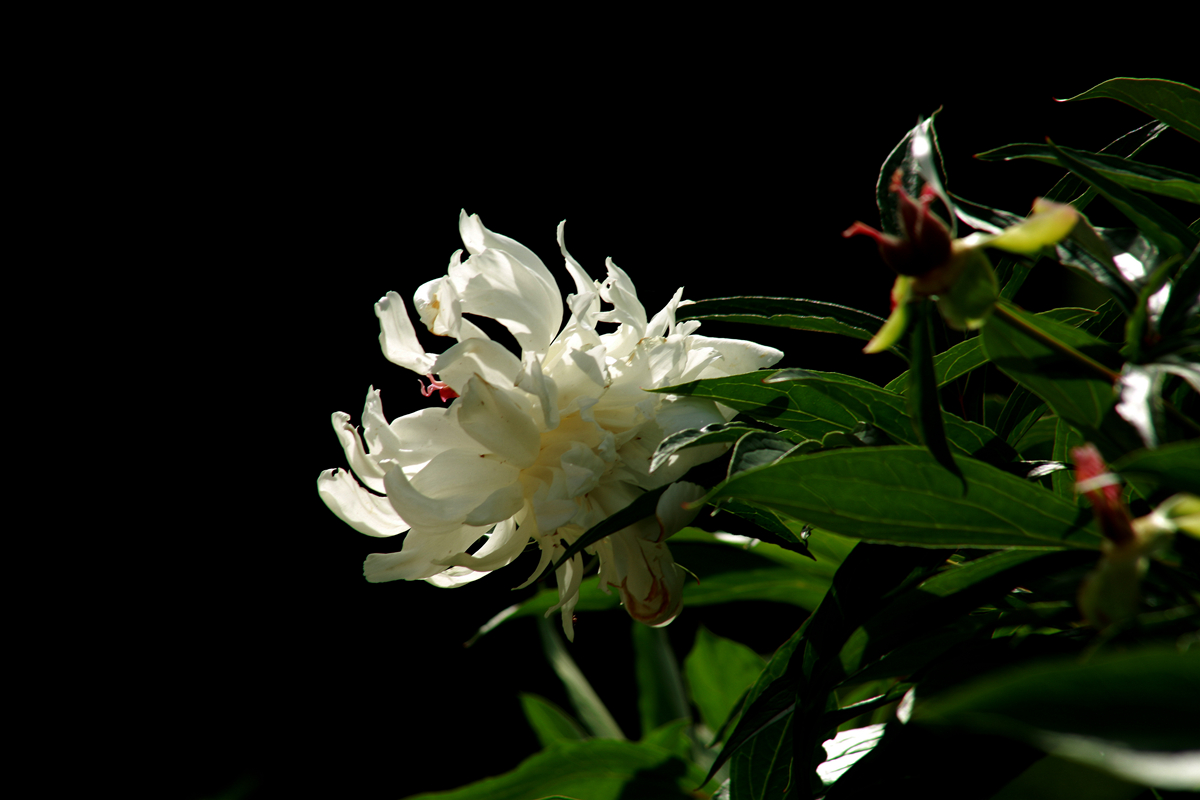 FU2A0299.JPG