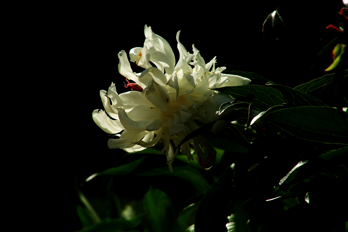 FU2A0301.JPG