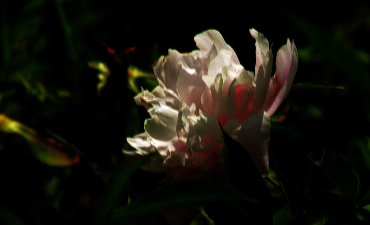 FU2A0324.JPG