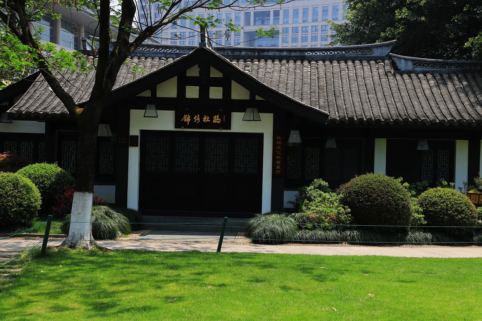 IMG_5706_副本.jpg