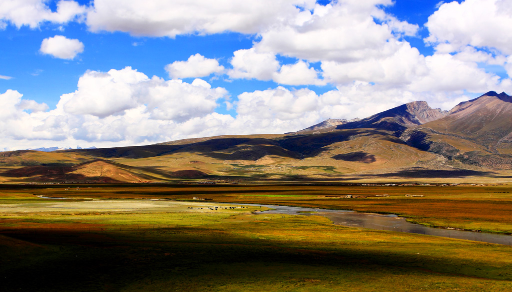 _MG_0996.JPG