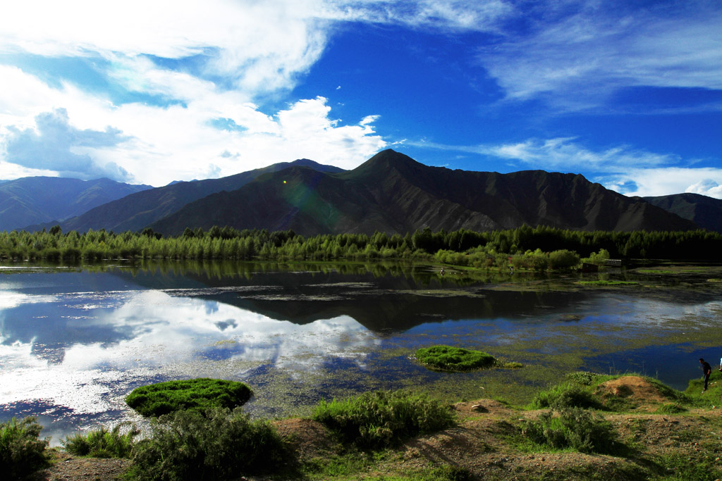 _MG_9922.JPG