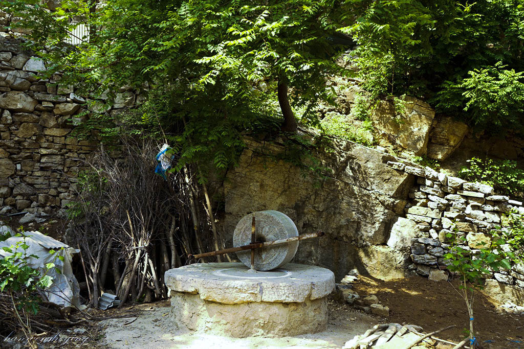 DSC06845.JPG