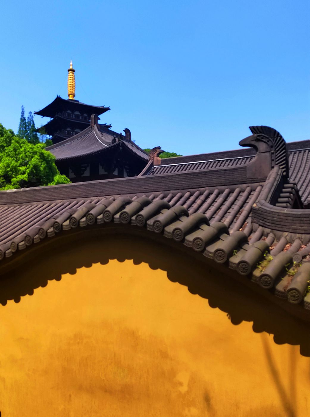 mmexport1649411132653_副本.jpg