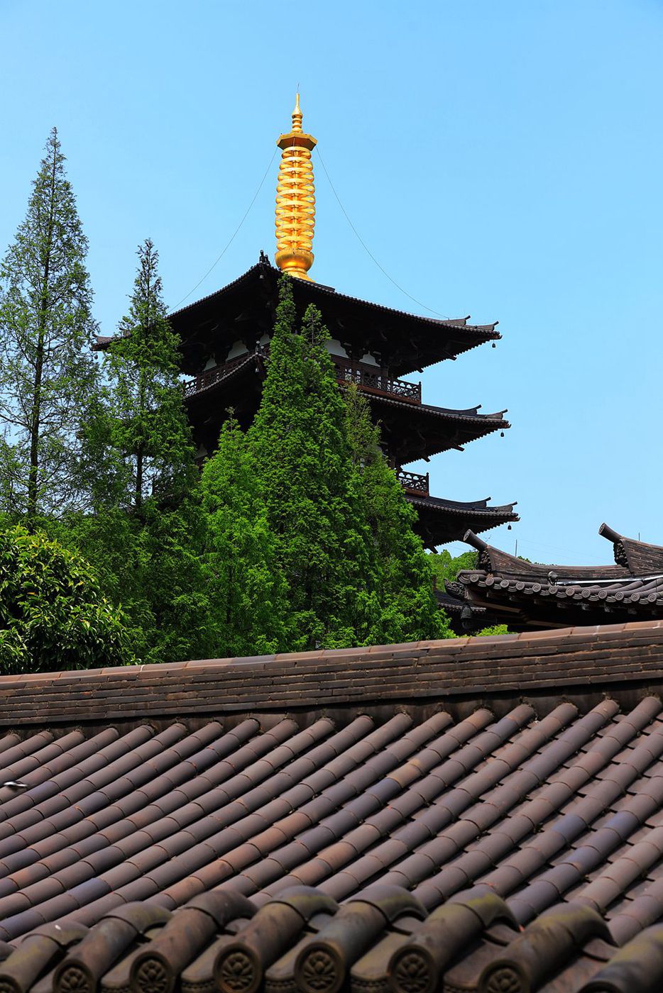 IMG_4846_副本.jpg