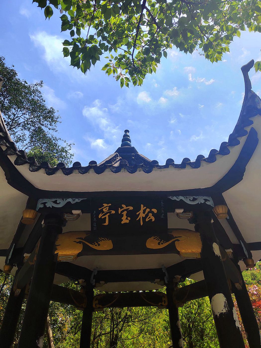 mmexport1649411092471_副本.jpg