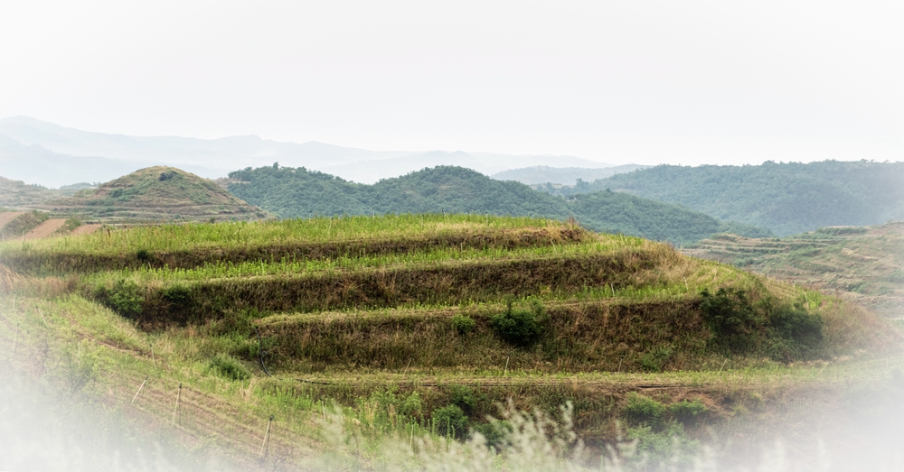 _DSC7118拷贝09.jpg