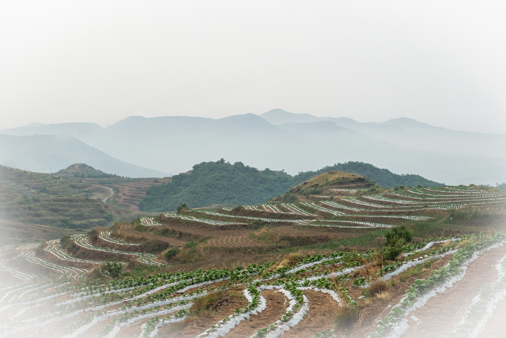 _DSC7140拷贝10.jpg