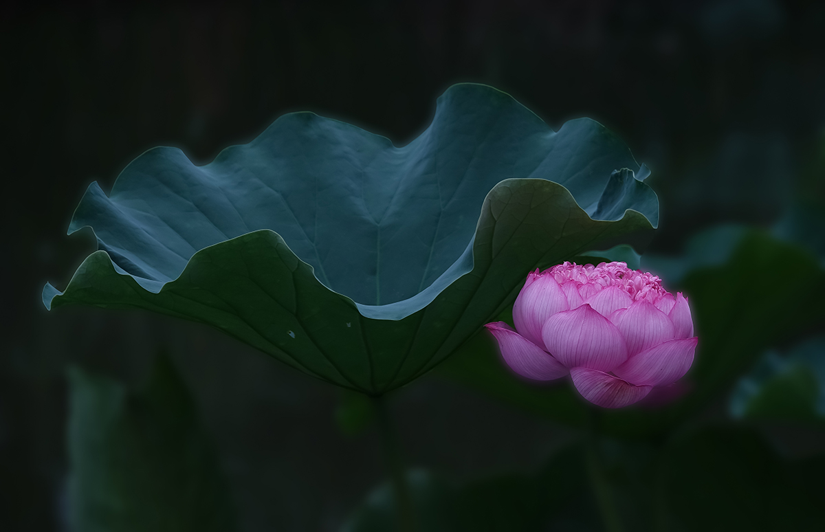 9aDSC01775拷贝.jpg