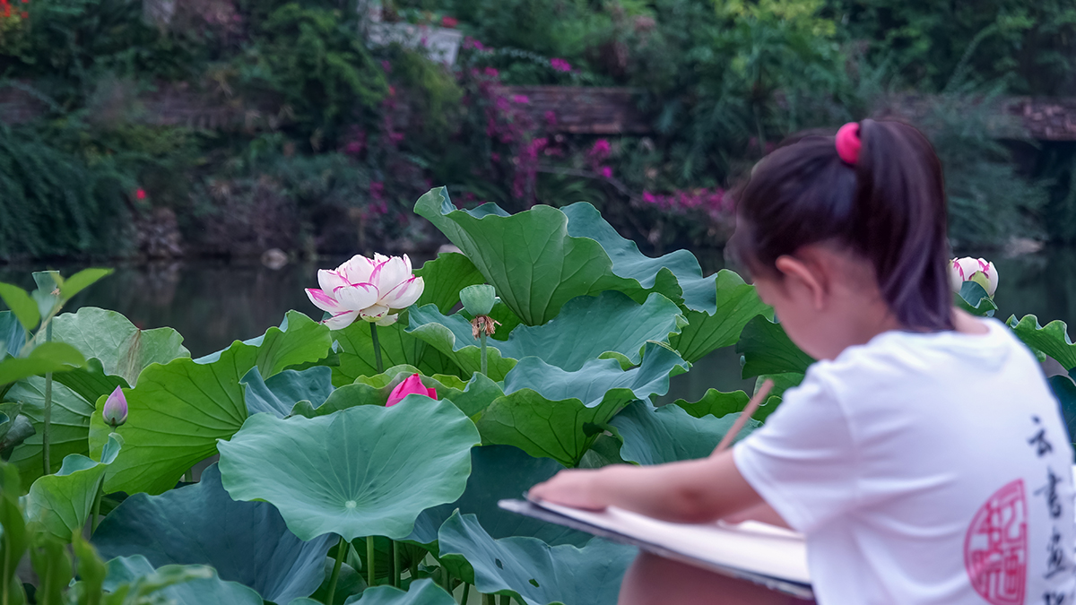 10aDSC01791拷贝.jpg
