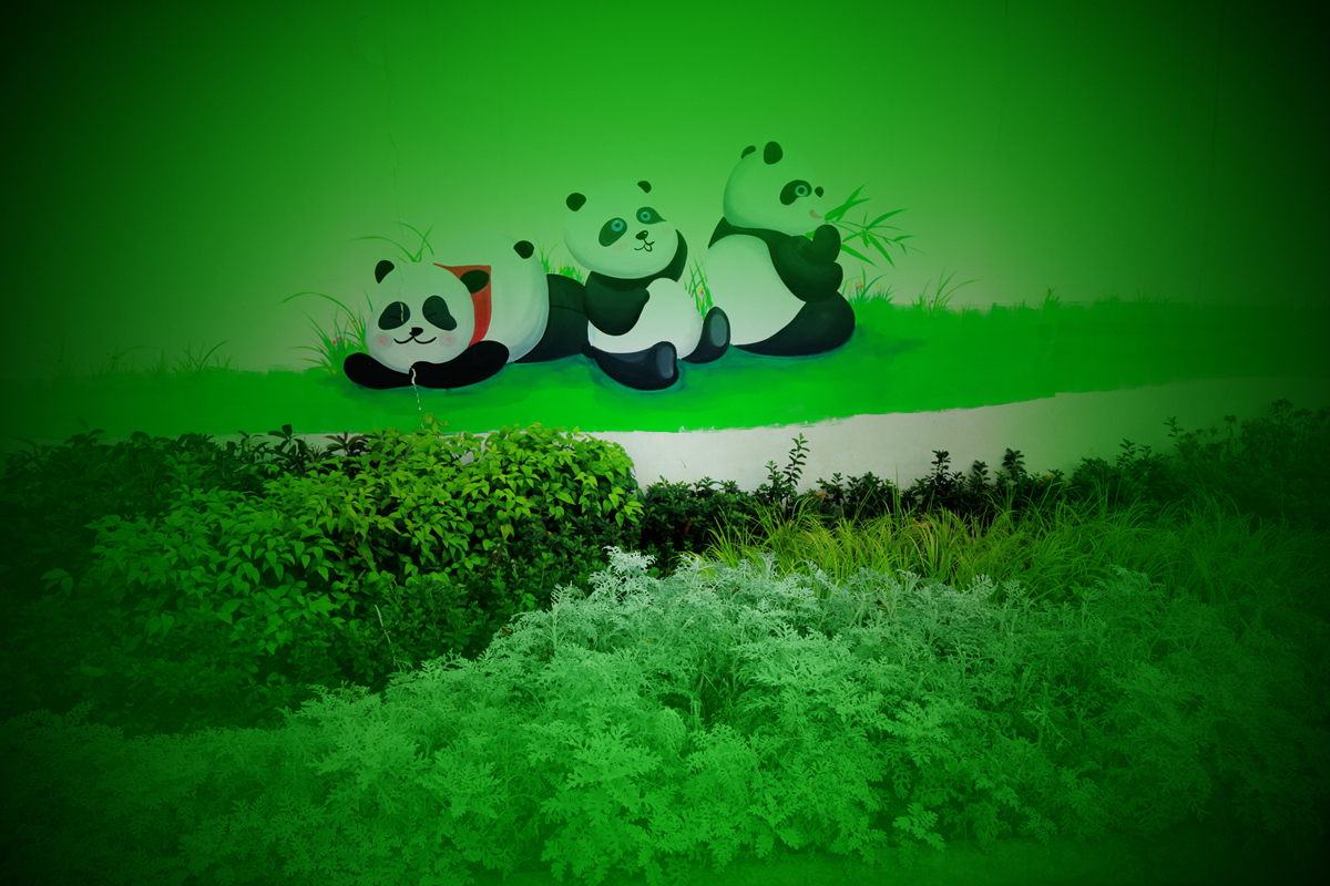FU2A0039.JPG