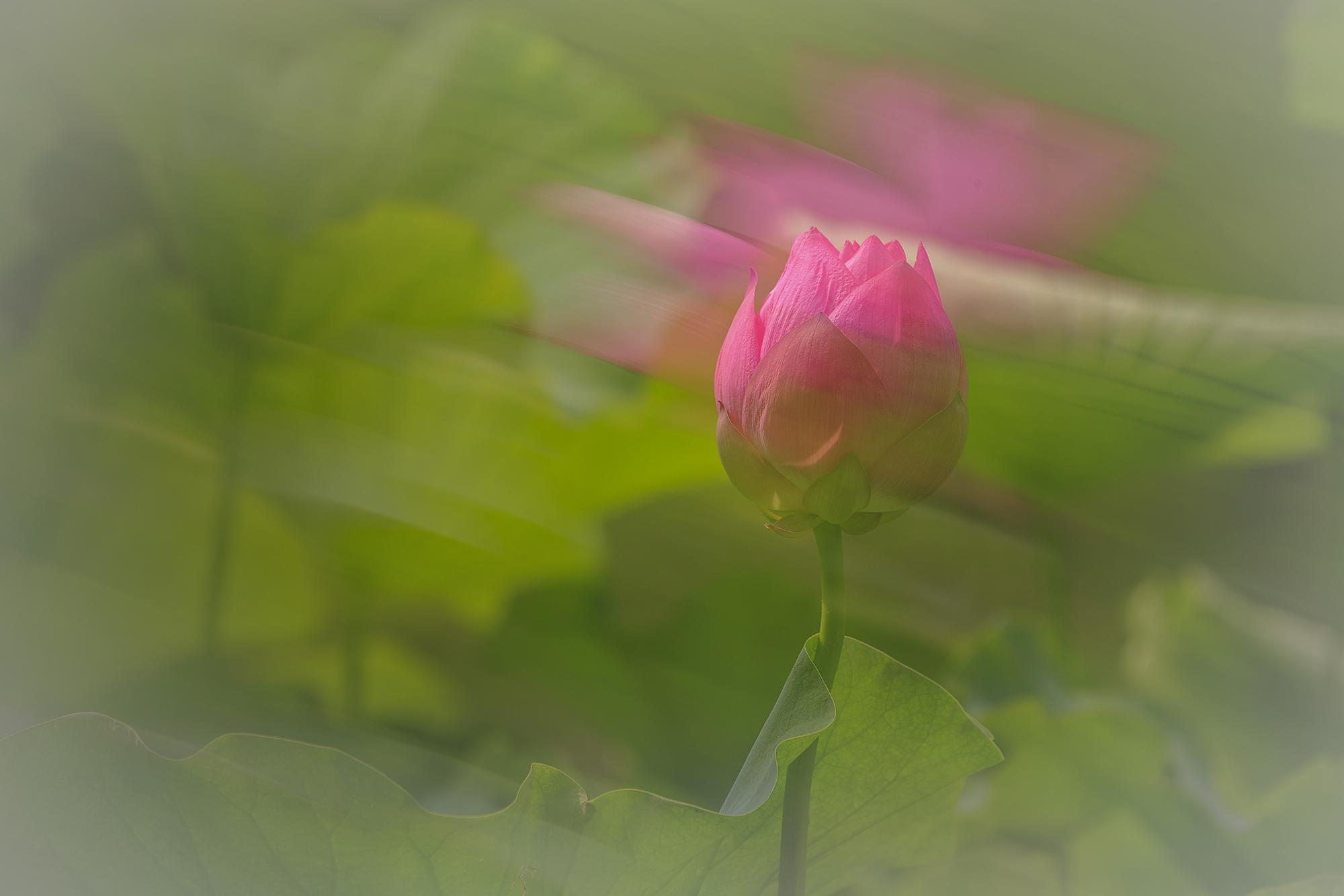IMG_52141.jpg