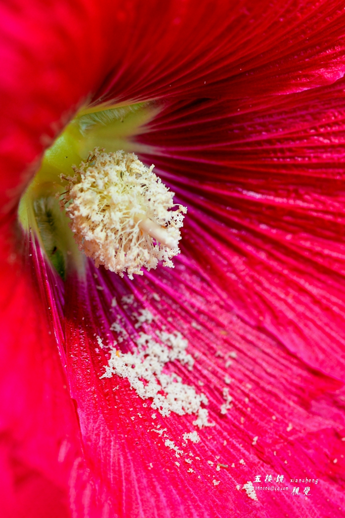 DSC_2527.JPG