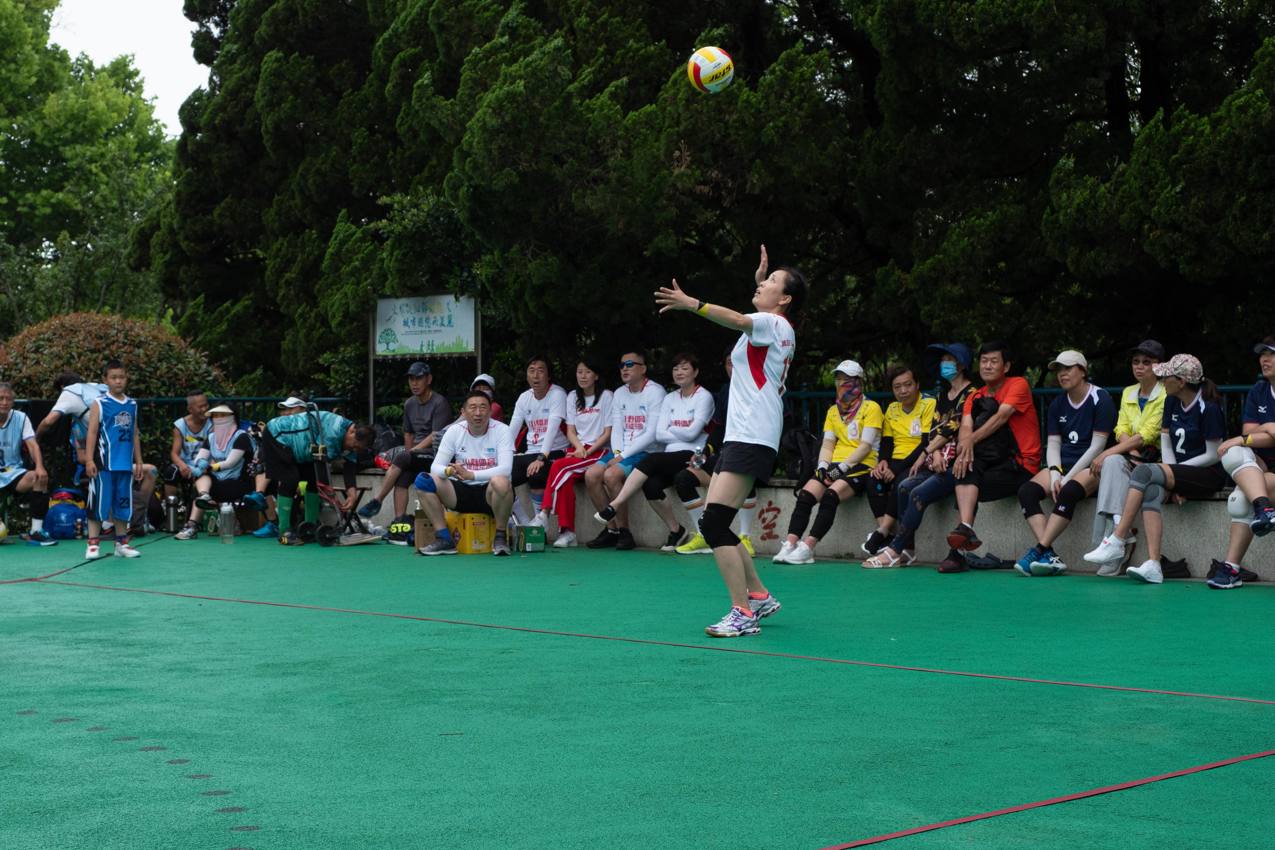 DSCF8294.jpg