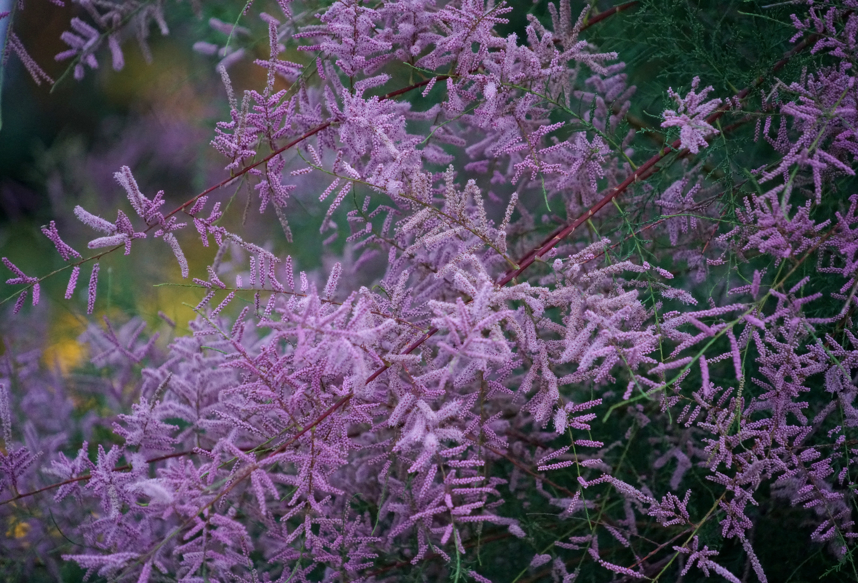 5·DSC09600_副本·_副本.jpg