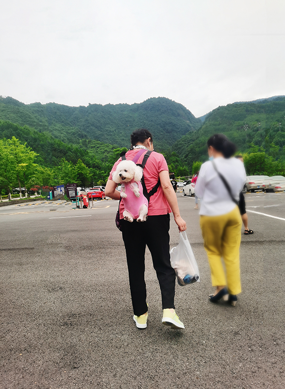 12微信图片_20220721080425拷贝.jpg