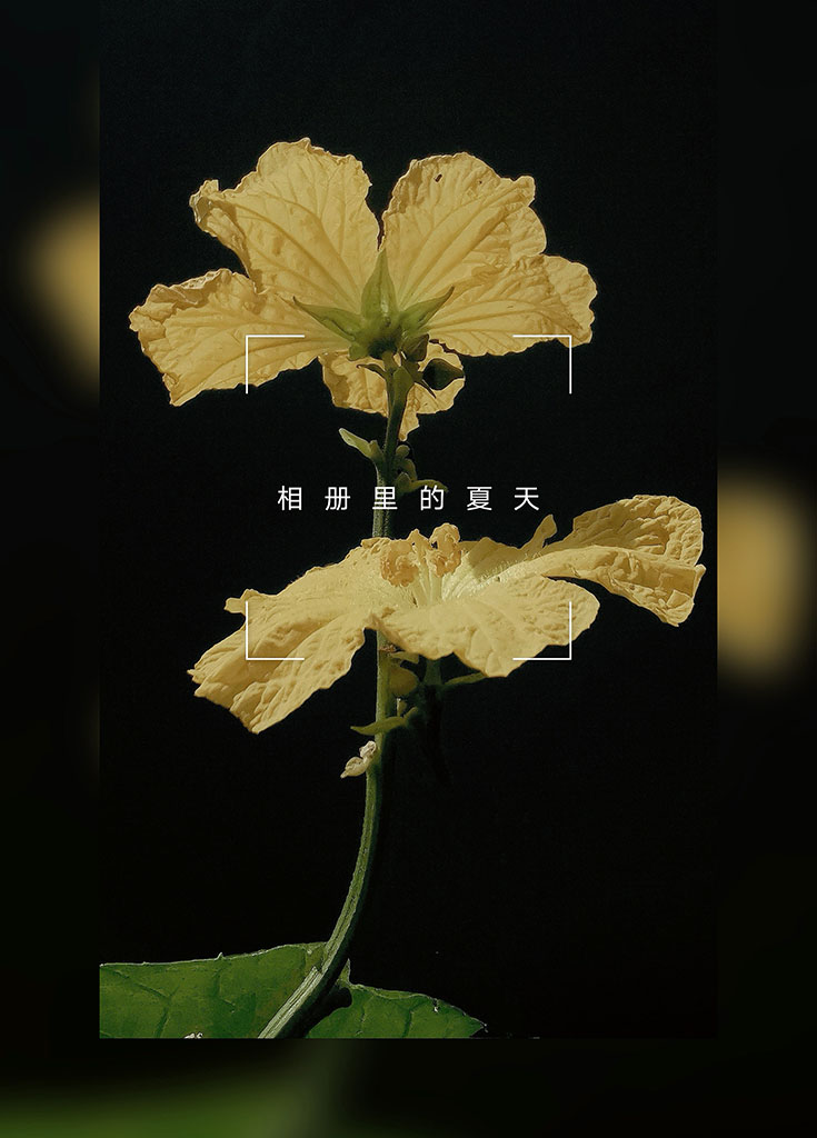 微信图片_20220723212010.jpg