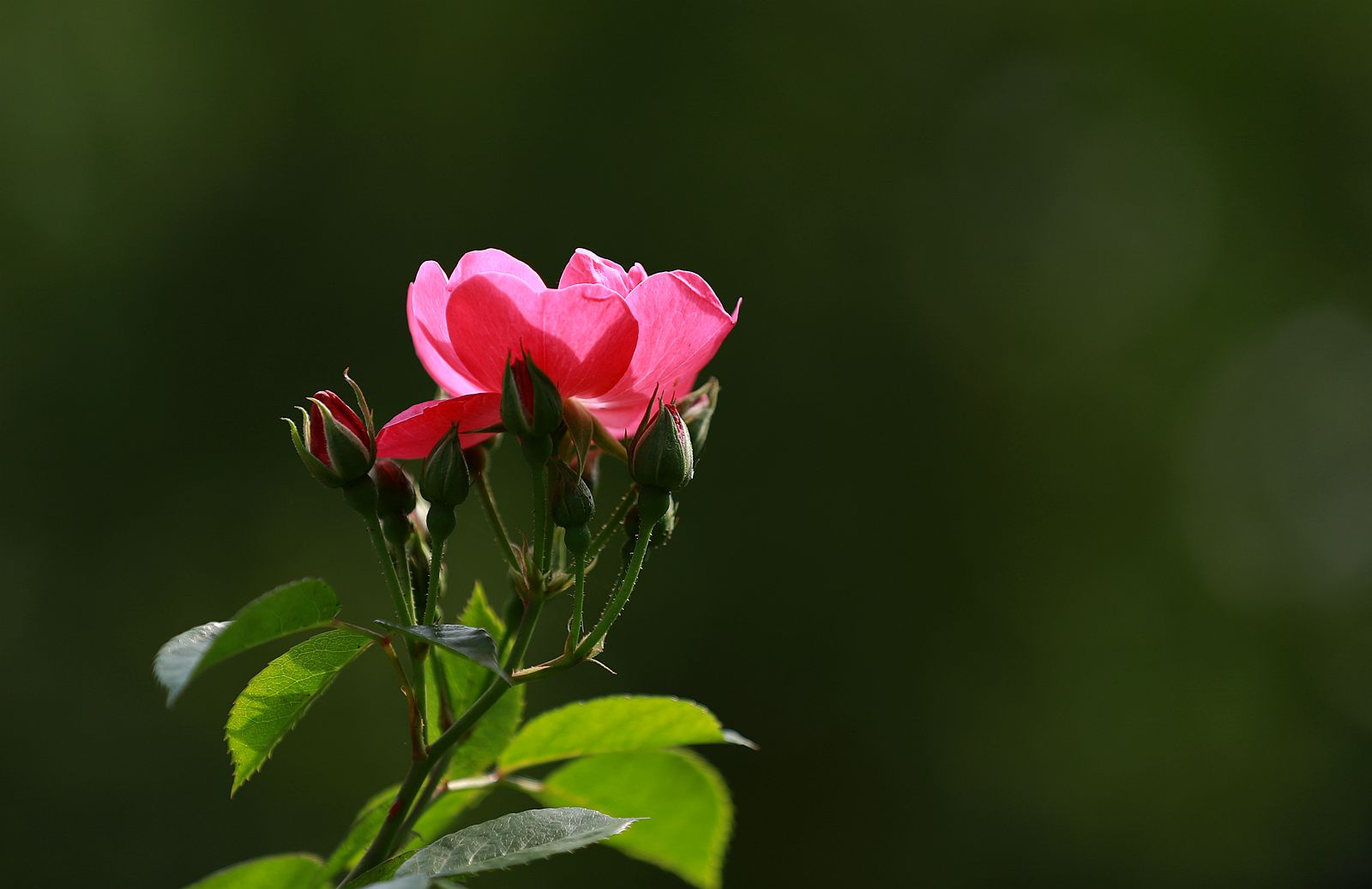 IMG_5894_副本.jpg