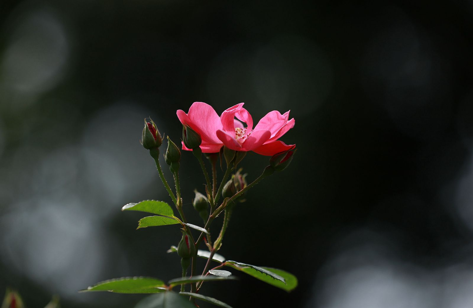 IMG_5910_副本.jpg