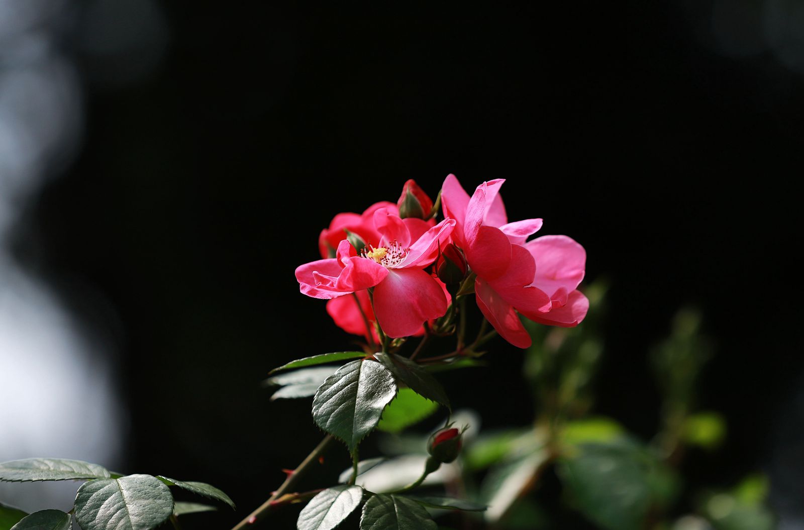 IMG_5909_副本.jpg