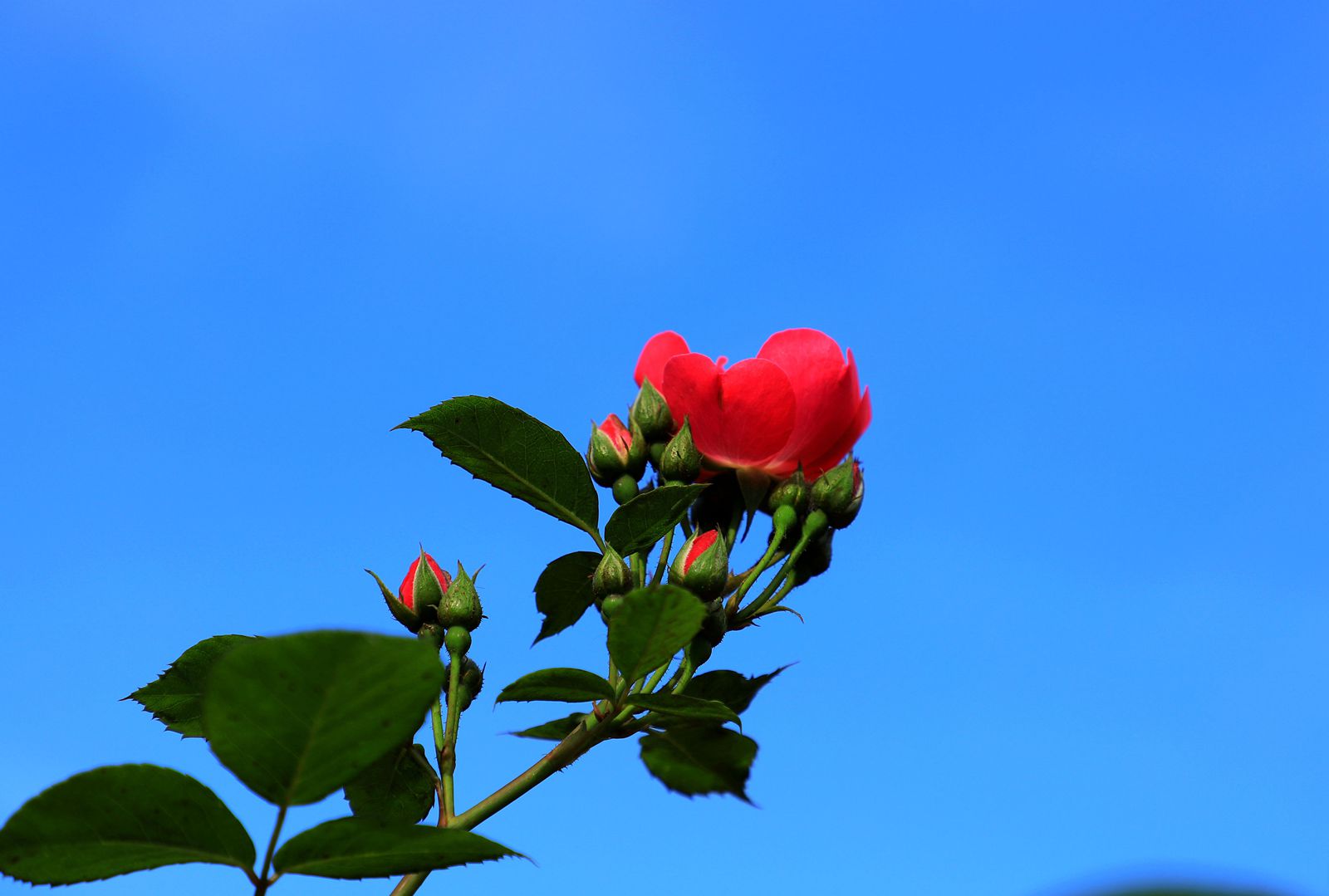 IMG_6276_副本.jpg