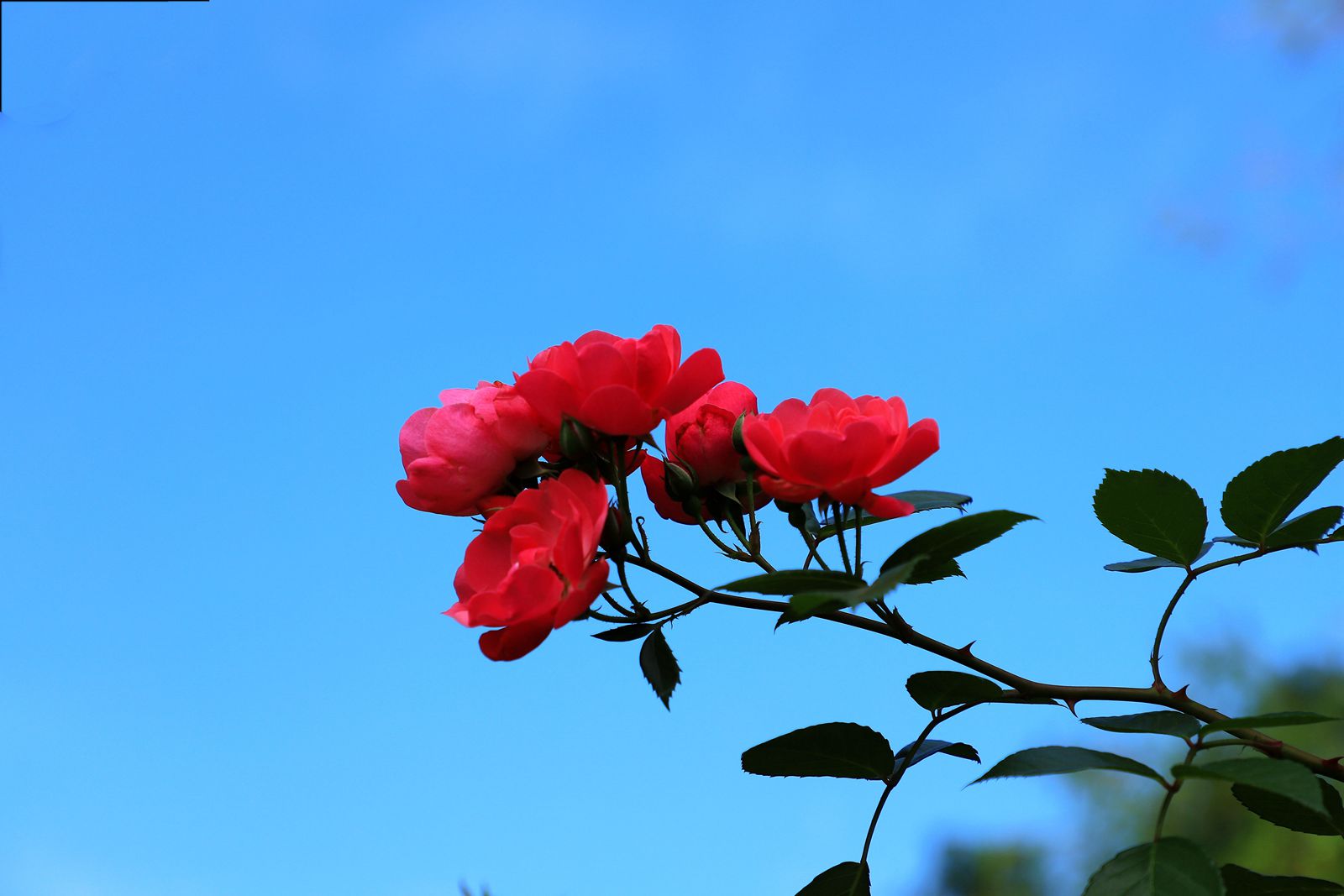 IMG_6281_副本.jpg
