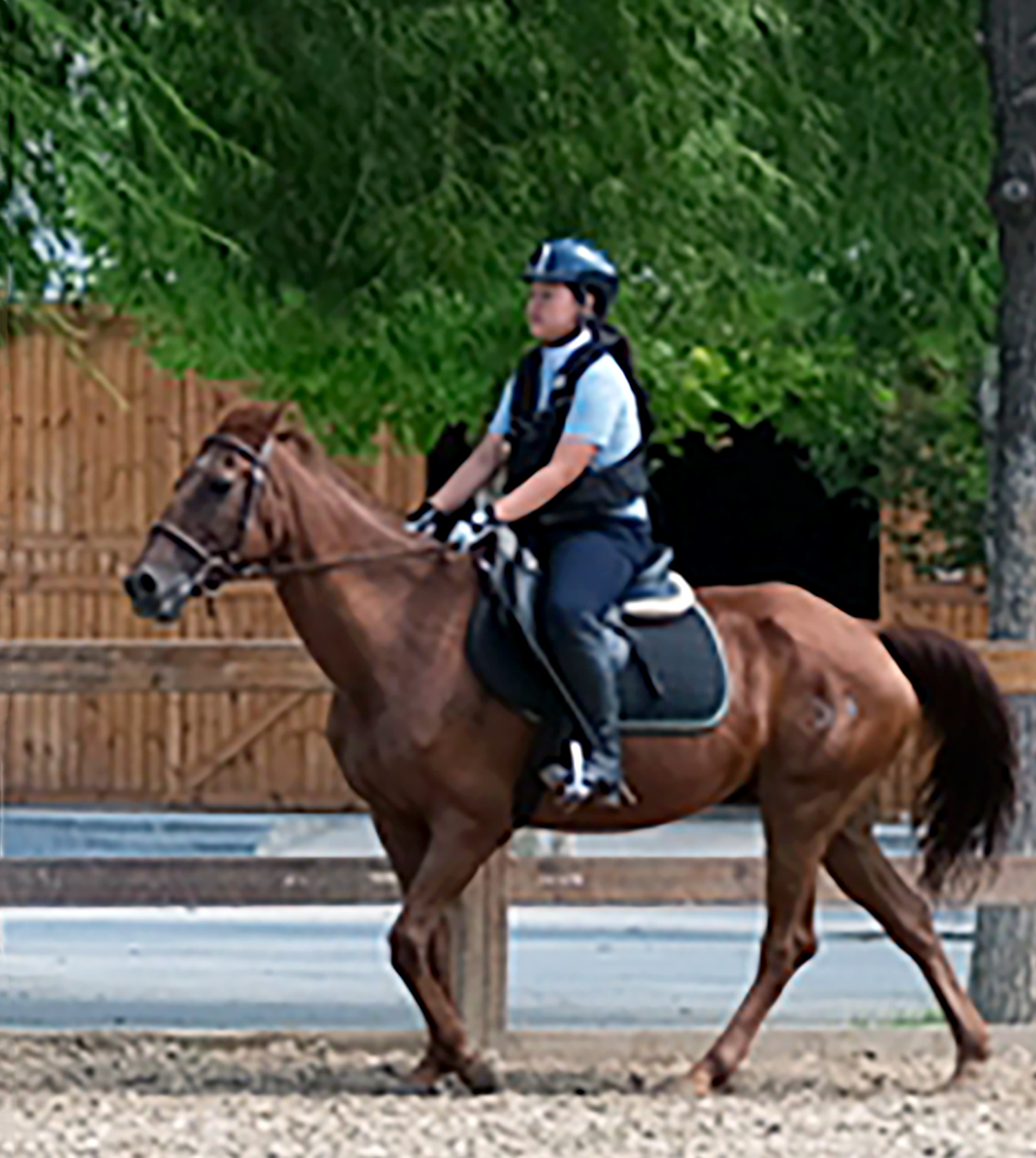 DSCF2142.jpg