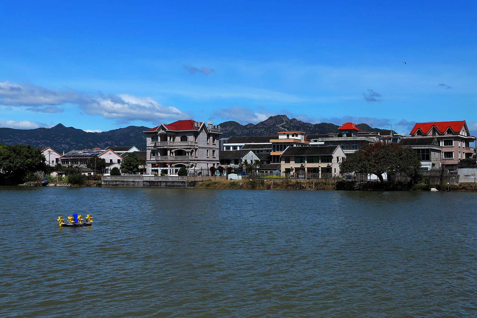 IMG_3810_副本.jpg