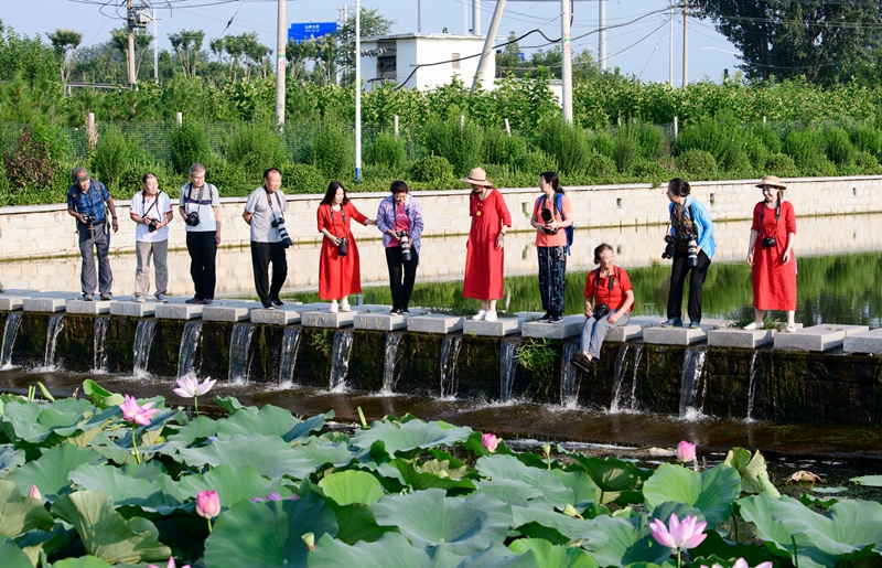 _DSC6703拷贝08.jpg