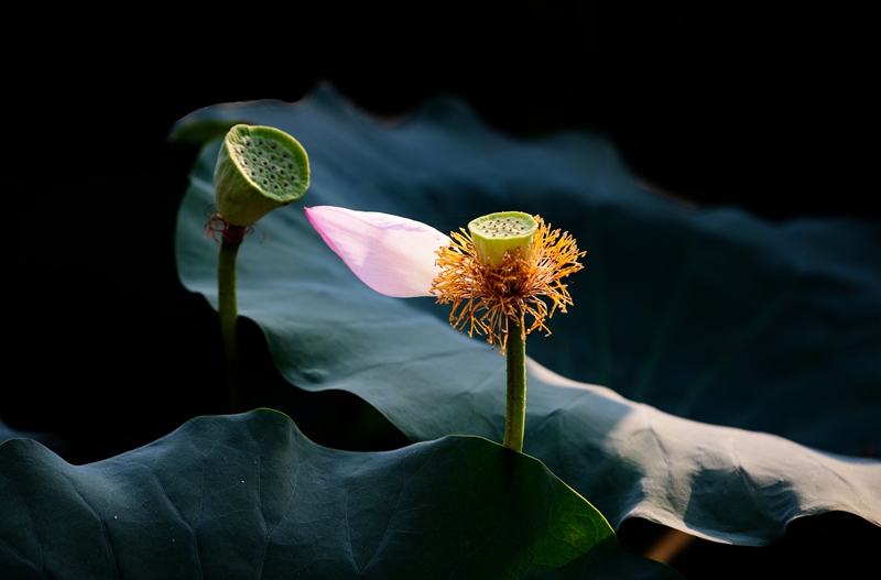 _DSC6605拷贝02.jpg