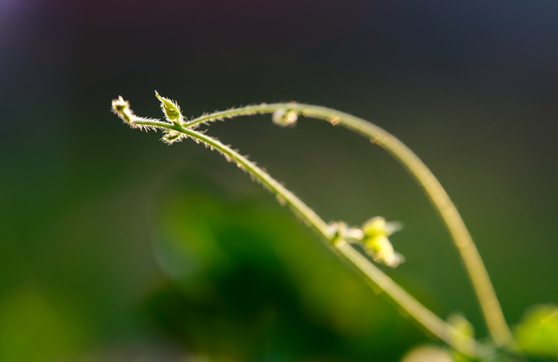 _DSC6644拷贝04.jpg