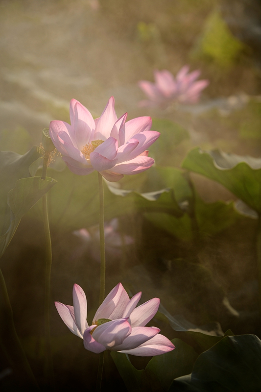 _DSC6617拷贝03.jpg