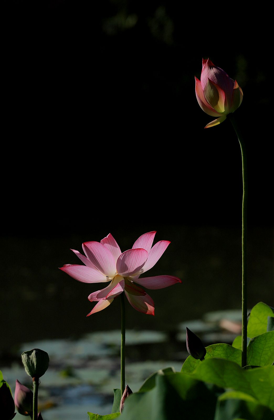 IMG_7537_副本.jpg