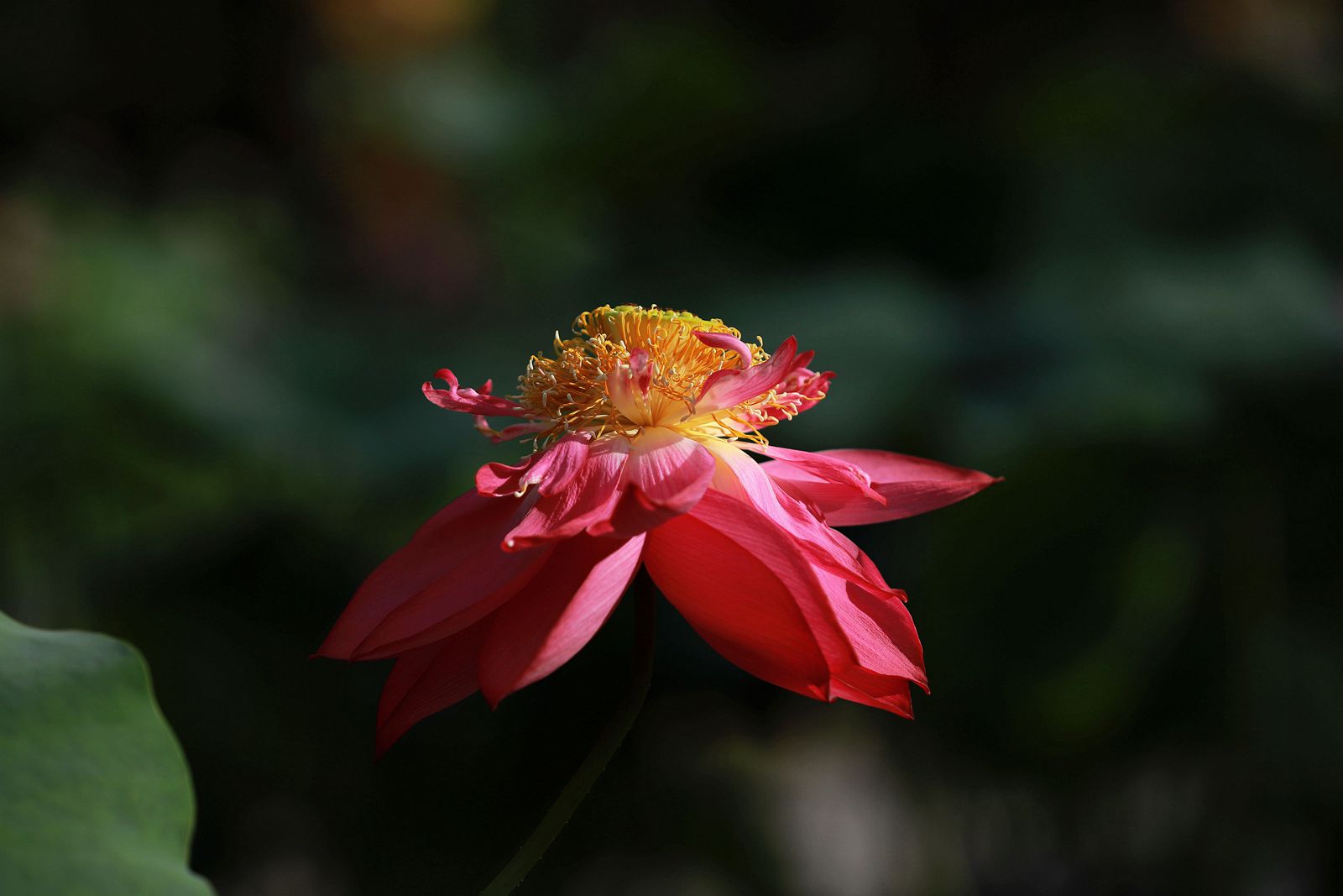 IMG_7617_副本_副本.jpg