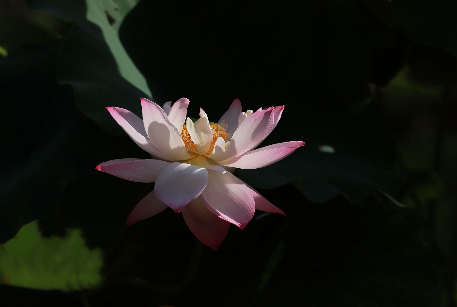 IMG_7628_副本.jpg