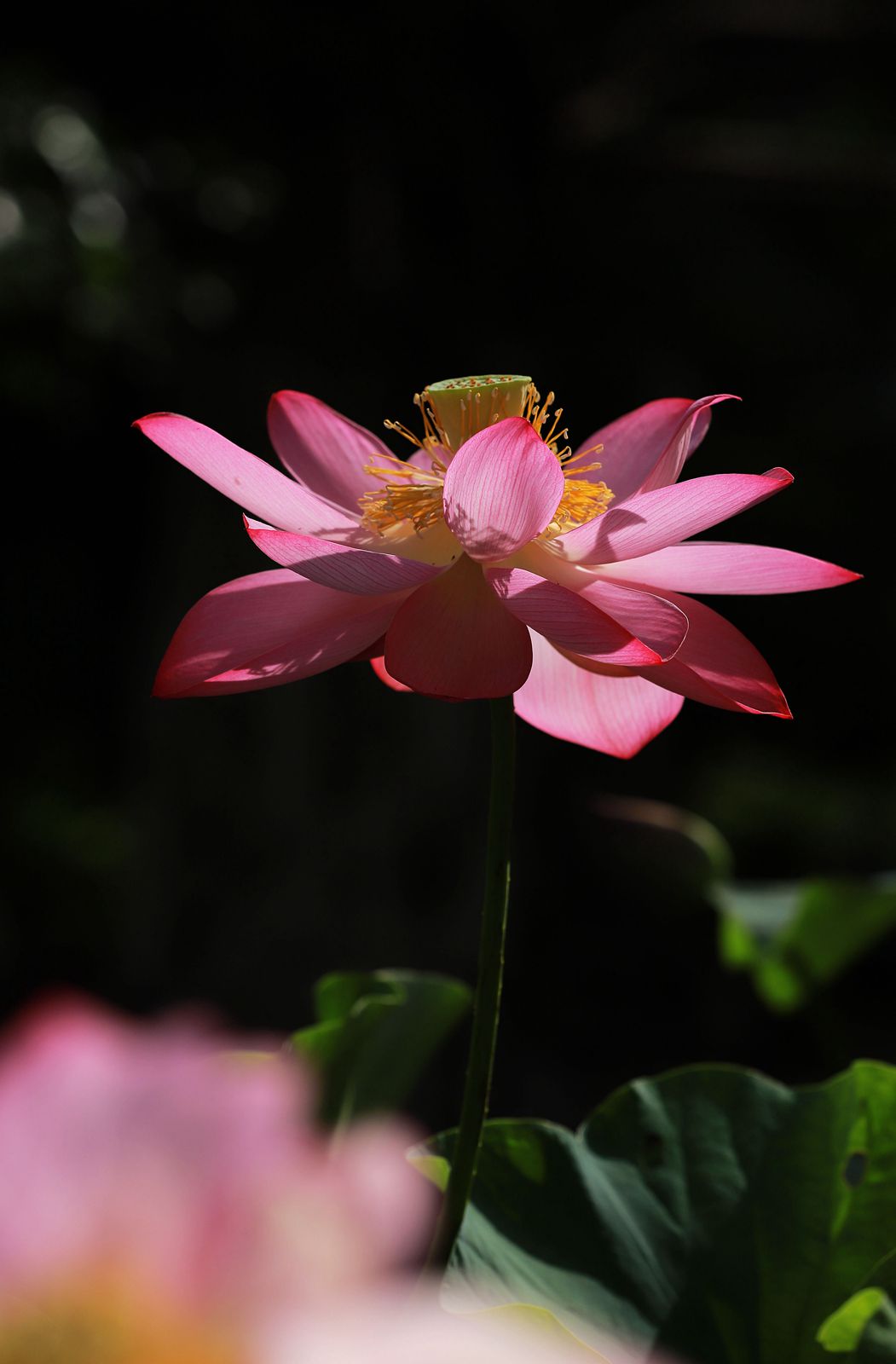 IMG_7626_副本.jpg