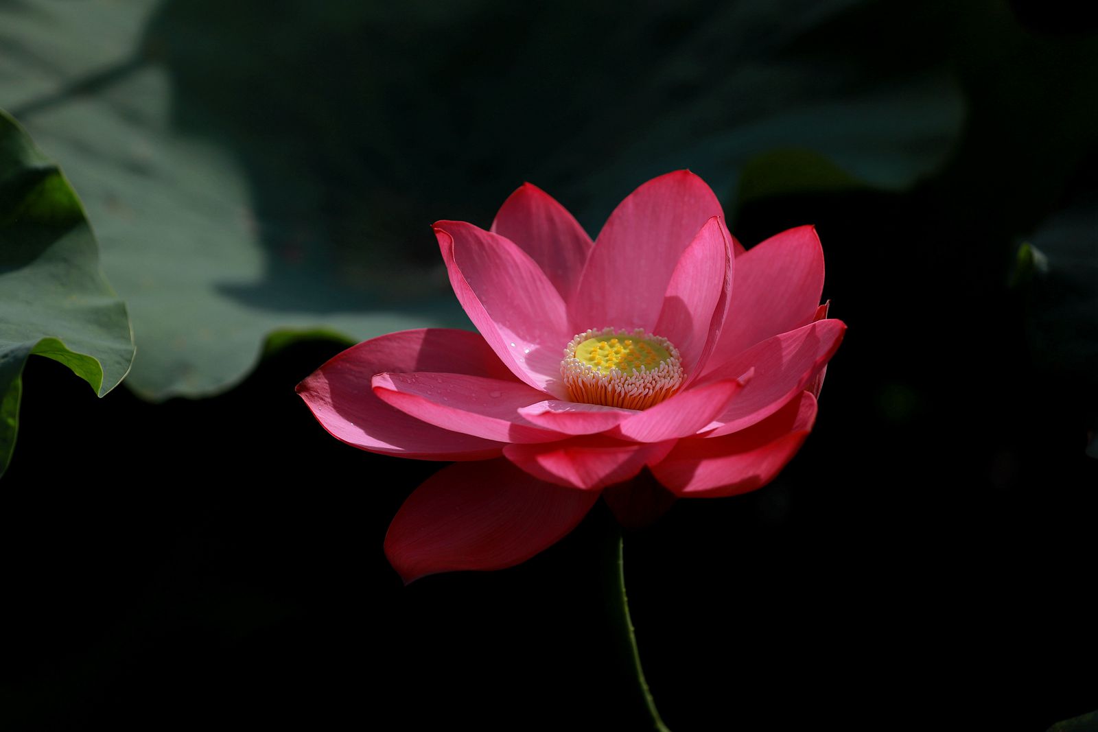 IMG_7646_副本.jpg
